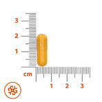 SEMA Lab Vitamina C 1000 mg, 10 capsule din celuloză