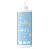 Eveline Cosmetics My Life My Hair, hydraterende gladmakende shampoo voor droog, beschadigd en vochtarm haar, 500 ml