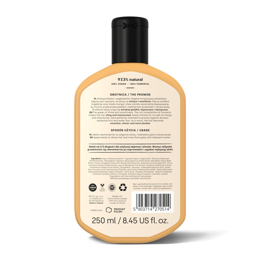 Resibo Shine Club, après-shampooing lissant, 250 ml