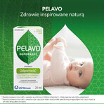 Pelavo Immunität, Tropfen für Säuglinge und Kinder ab 6 Monaten, 20 ml