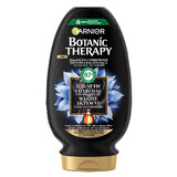 Garnier Botanic Therapy, balancerende conditioner voor droog haar en vette hoofdhuid, actieve kool, 200 ml