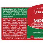 Herbagetica Moringa x 60cps