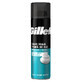 Sensitive Classic Sensitive Skin Rasierschaum, 200 ml, Gillette