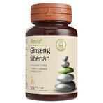 Ginseng de Sibérie, 30 gélules végétales, Alevia