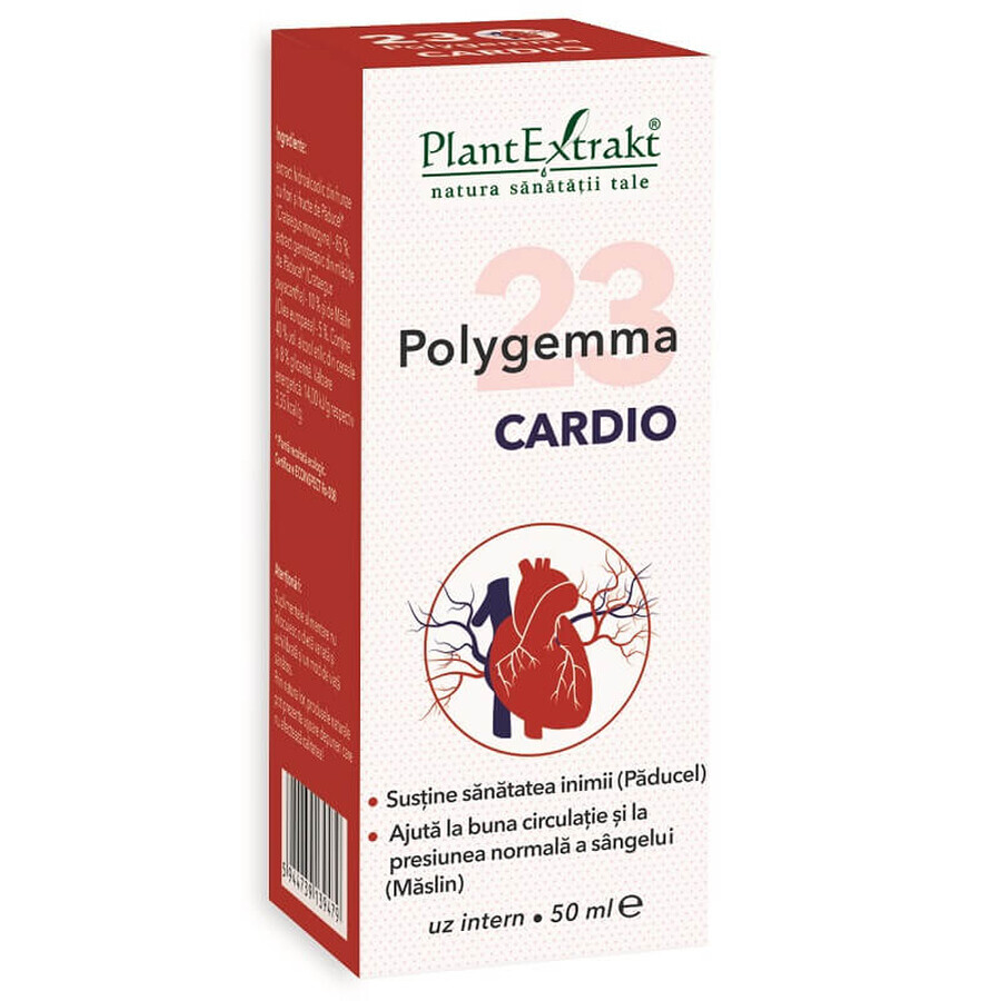 Polygemma 23 Cardio, 50 ml, Pflanzenextrakt