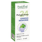 Polygemma 24 Ginkgo Memorie, 50 ml, Pflanzenextrakt