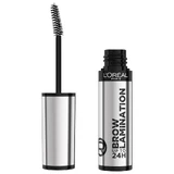 Mascara for fixing eyebrows Infaillible 24H Brow Lamination, 5 ml, Loreal