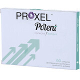 Proxel Potent, 60 Kapseln, Naturpharma