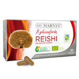 Reishi, 30 capsule, Marnys