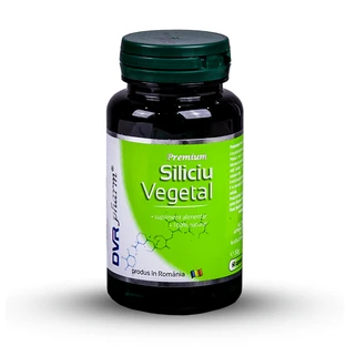 Vegetable silicon, 60 capsules, Dvr Pharm