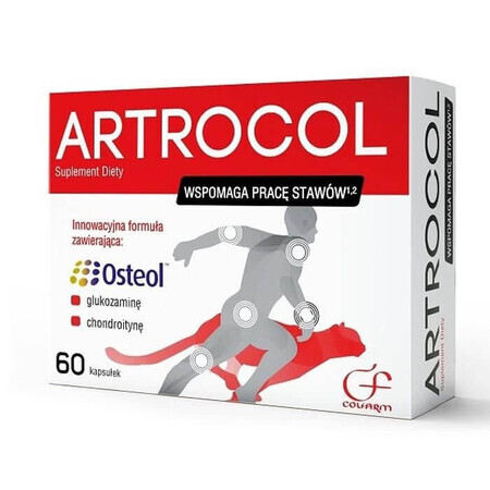 Artrocol 60 Kapseln