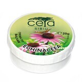 Echinacea-Salbe, 20 g, Ceta Sibiu