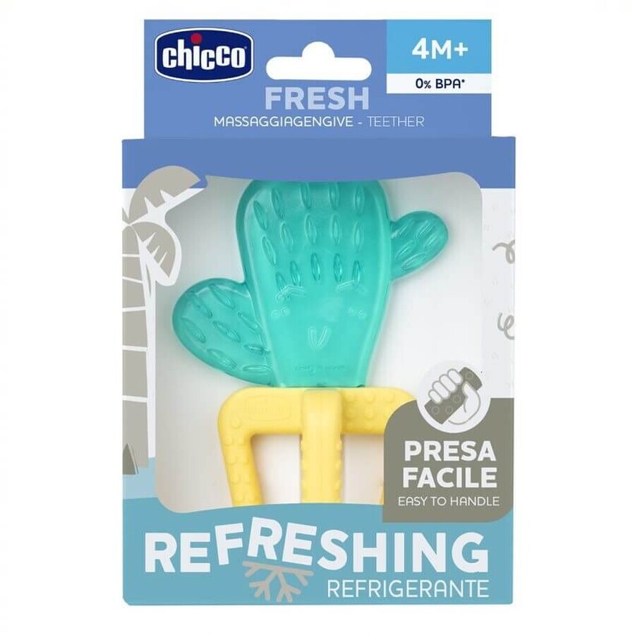 Chicco Wasser Kaktus Beißring 4m+