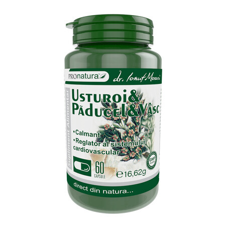 Knoflook Paducel en Vasc, 60 capsules, Pro Natura