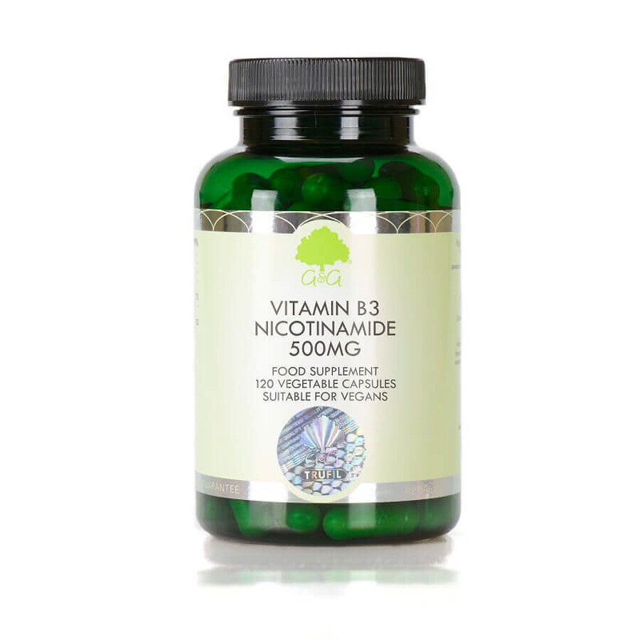 Vitamina B3 Nicotinamida 500mg, 120 capsule, G&G