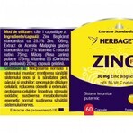 Zinc Forte, 60 capsule, Herbagetica