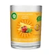 Air Wick Große dekorative Kappe für Kerzen 220 g