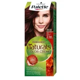 Palette Permanent Naturals Naturals Color Creme Permanent Color 868/ 3-68 Chocolate Birch