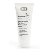 Ziaja, Mintperfect Flavor Fluoride-Free Toothpaste with verbena mita clay, 100 ml - Shelf life extended!