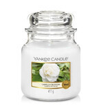 Yankee Candle Guirnalda de Fragancias Flor de Camelia, 411g