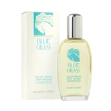 Elizabeth Arden Blauw Gras Eau de Parfum, 100ml