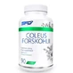 SFD Coleus Forskohlii, 90 Tabletten