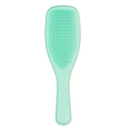 Tangle Teezer The Wet The Wet Detangling Fine amp; Fragile Hair Brush Mint