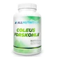 Allnutrition Coleus Forskohlii, 90 capsule