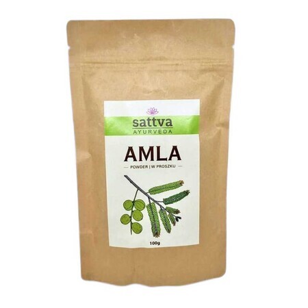 Sattva Ayurveda Amla Kräuterwachsmaske, 100g