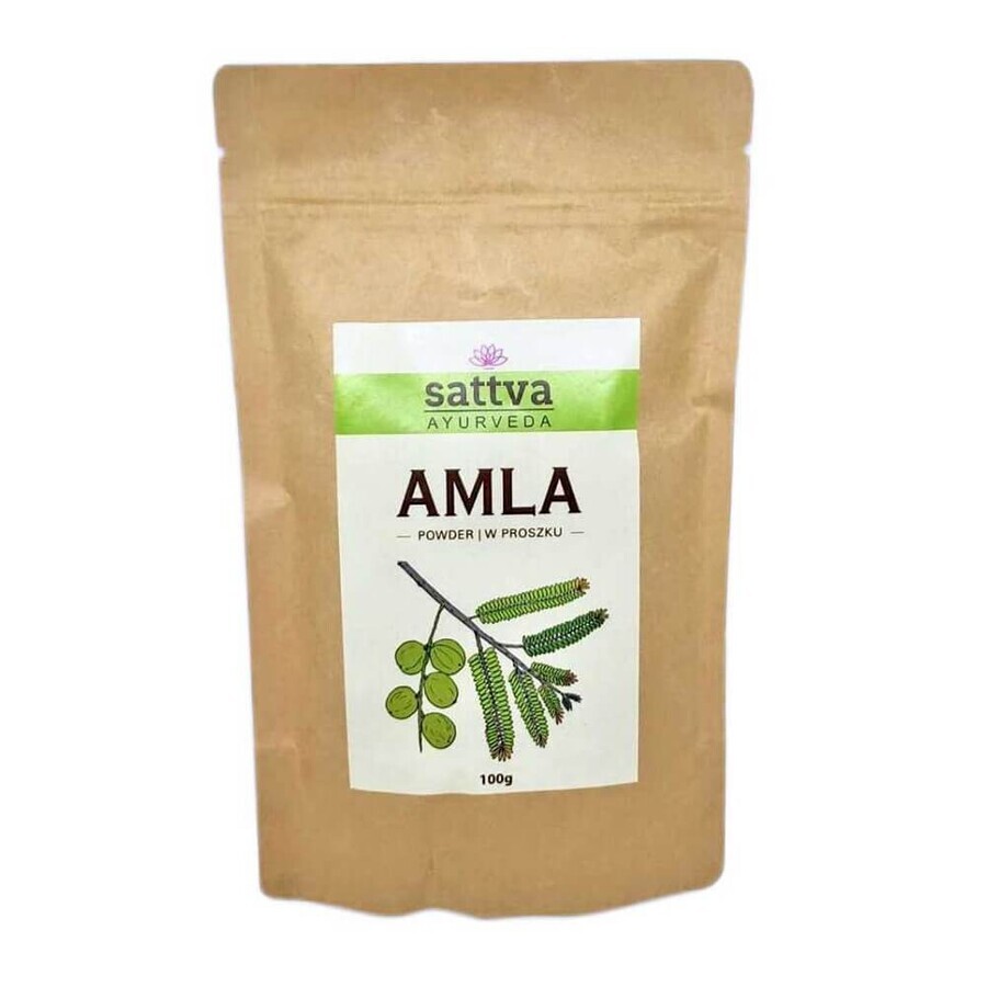 Sattva Ayurveda Amla Kräuterwachsmaske, 100g