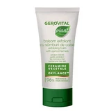 Gerovital Bálsamo Exfoliante Vegetal con Hueso de Albaricoque 100ml