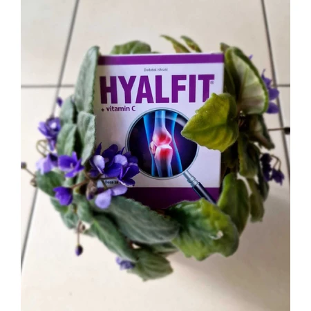 Hyalfit + witamina C 90 kapsułek: ceny i cechy