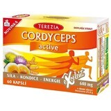 Terezia Cordyceps activ 60 Kapseln