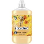 Coccolino Orange rush Waschmittel 1,7 l