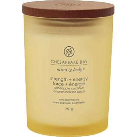 Chesapeake bay Duftkerze mittelgroßer Becher Power and Energy 250 g