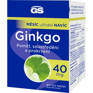 GS Ginkgo 40 mg 90 + 30 comprimés