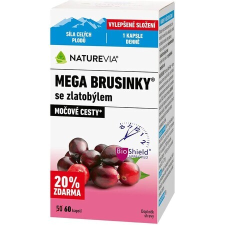 NatureVia Mega Heidelbeeren mit Goldrute 60 Stück