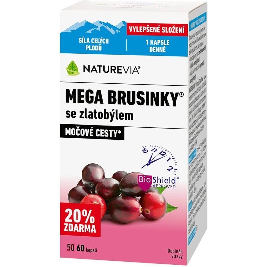 NatureVia Mega Heidelbeeren mit Goldrute 60 Stück