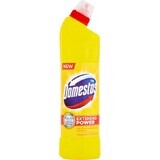 Domestos Extended Power Cítricos 750 ml