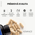 Advance Prostalex Prostata 60 Kapseln