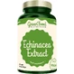 GreenFood Nutrition Echinacea Extract 90 capsule