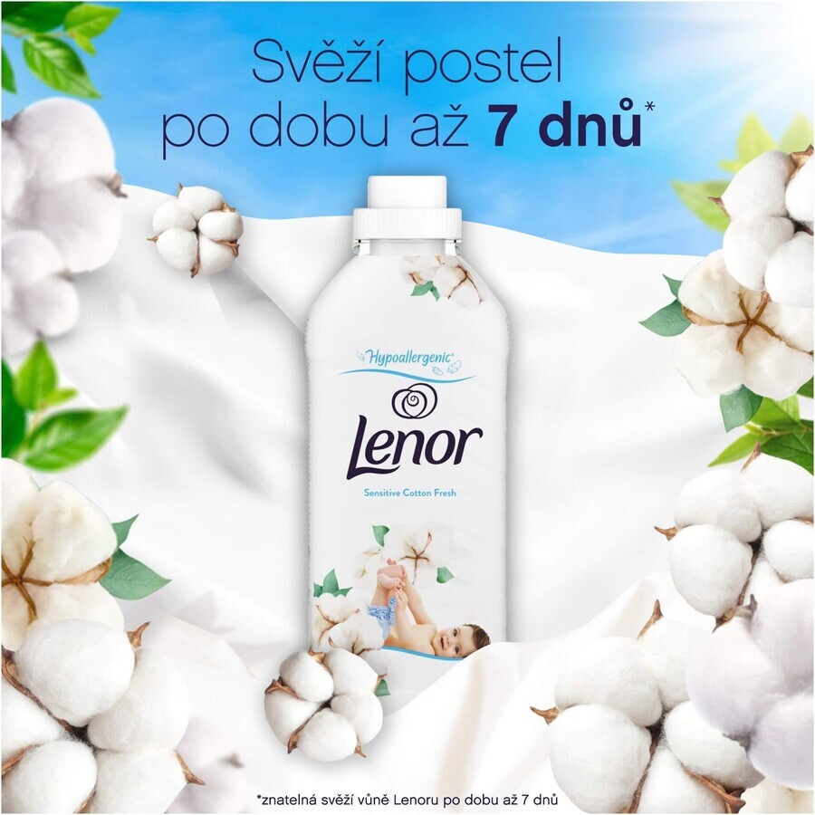 Lenor Cotton fresh conditioner 2 x 1200 ml