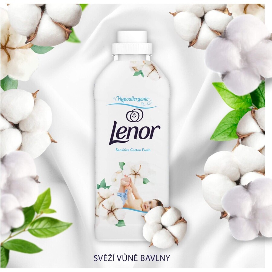 Lenor Cotton fresh conditioner 2 x 1200 ml