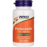 Now Foods Pankreatin 100 Kapseln