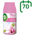 Airwick Ref Refill für Freshmatic Cherry Blossom 250ml Automatischer Diffusor Freshmatic Cherry Blossom 250ml