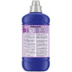 Coccolino Orchidee Violett Weichspüler 1,27 l