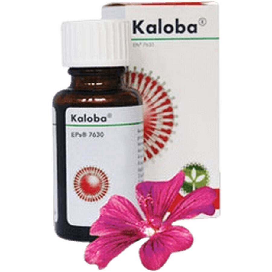 Kaloba Tropfen 20 ml