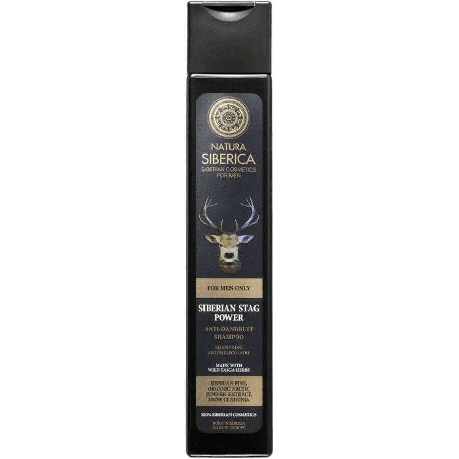 Anti-Schuppen-Shampoo für Männer Natura Siberian Siberian Deer 250 ml