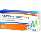 Ambrobene RETARD 75 mg cps plg 20 gélules