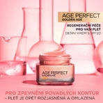 L'Oréal Paris Golged Age Rosy Re-Fortifying Day Cream 50 ml